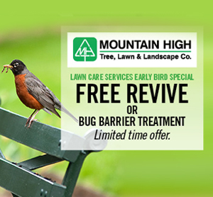 Denver-Lawn-Care-Free-Revive-1