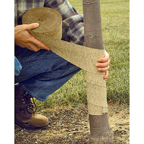 tree-wrap-pic-2